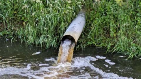 A picture of a pipe next to a body of water. Brown water can be seen coming out of the pipe 