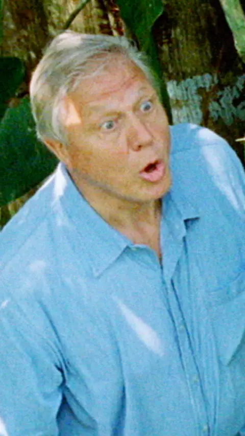 Attenborough on a ladder in shaded woodland, looking up and saying ‘boo’ to a sloth perched on a tree trunk