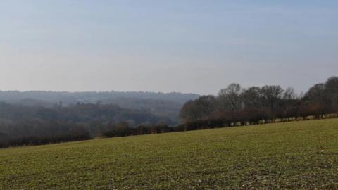 A landscape shot of a hill with trees in the background and more forest land in the background