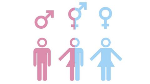 Transgender graphic