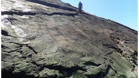 man walking on cliff with fossils