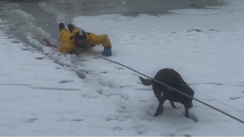 Dog being rescued from snowbound lake