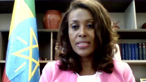 Meaza Ashenafi, Chief Justice of Ethiopia’s Federal Supreme Court