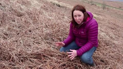 Becky Davies, Natural Resources Wales, speaking to camera