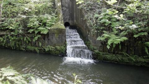 A pipe into the River Spodden