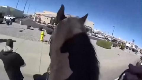 Police on horseback chasing suspect