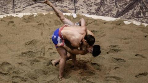 Korean wrestlers