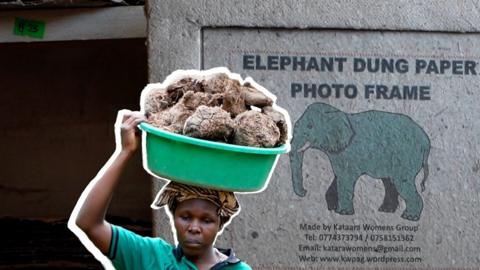 Photo frame made from elephant dung