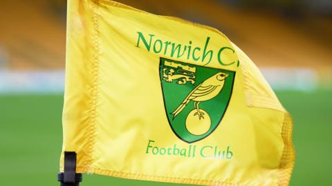 A corner flag at Norwich City's Carrow Road