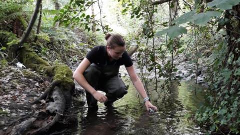 An environment protection officer takes a water sample