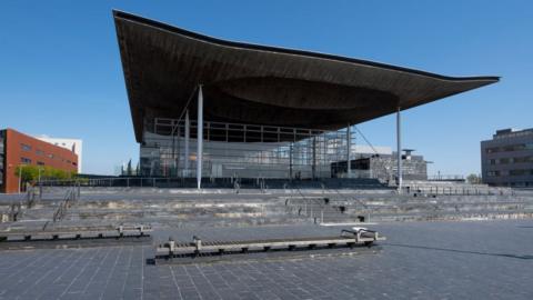 The Senedd