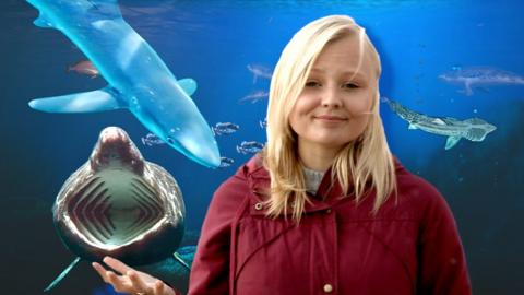 Robyn Montague and various marine life