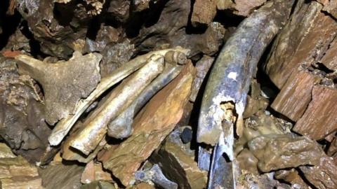 Artefacts in Sherford cave