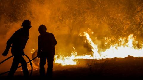 Firefighters fight the flames of a forest fire in the village of Urqueira, Ourem.