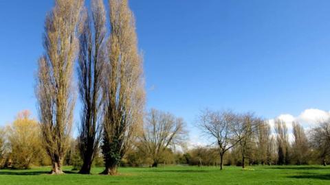 Abbey Meadows, a green space in Abingdon