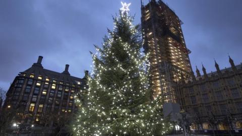 Christmas tree outside Parliament