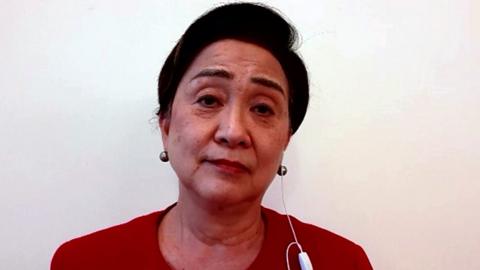 Emily Lau, former Democratic Party chairperson and legislator