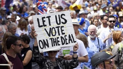 Campaigners for a People's Vote on a march in June