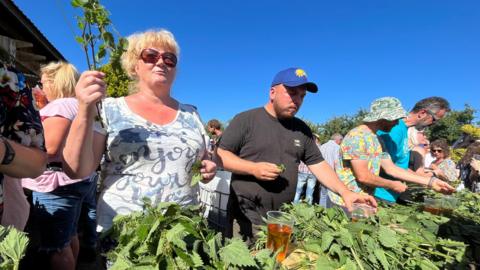 A row of people standing behind a long table piled up with stinging nettles. Each person has a pint of cider sitting next to their pile. The woman nearest the camera is holding a stinging nettle stalk in the air and a bunch of leaves in the other hand. The man next to her is picking up his pint.