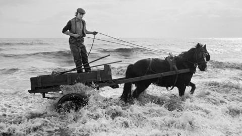 Gordon in the water, Seacoal Beach, Lynemouth,1983