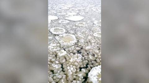 Ice pancakes on Lake Michigan