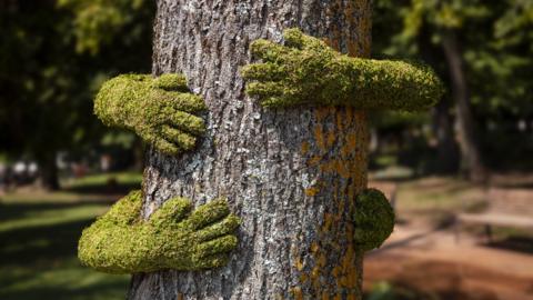 Tree Hug by Monsieur Plant