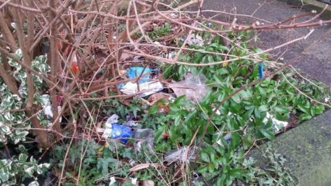Rubbish in hedgerow