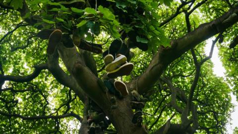 The Shoe Tree, Heaton Park, Newcastle