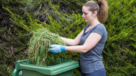 Woman putting grass cuttings into a wheelie bin