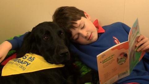 Dog and pupil at Crown Primary