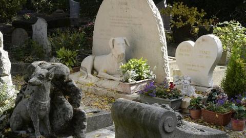 Dog graves at a pet cemetery in France