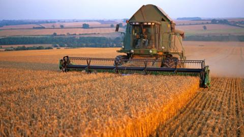 Combine harvester on farm in Lincolnshire