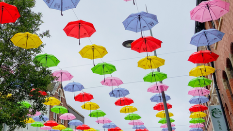 The Neurodiversity Umbrella Project