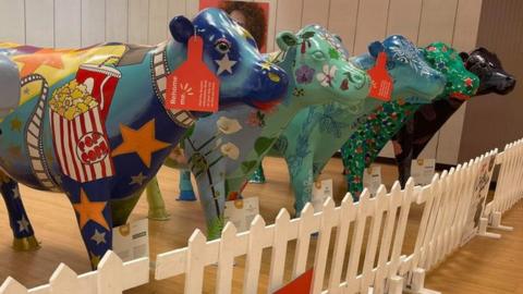 painted cows