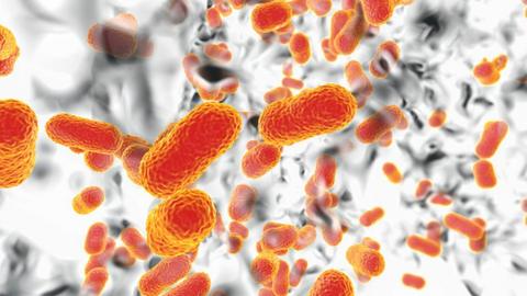 Multi-drug resistant Acinetobacter baumannii bacteria inside biofilm, computer illustration.