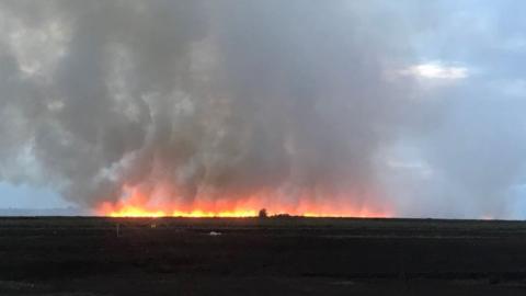 gorse fire (permission?)