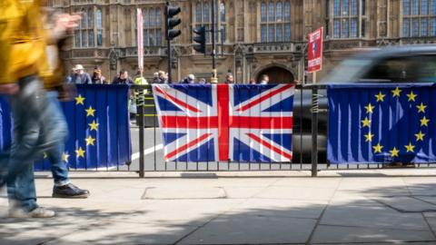 Flags outside parliament