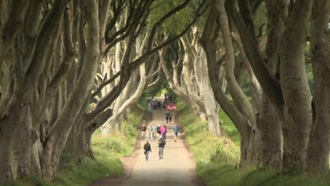 Tourists at the Dark Hedges in County Antrim