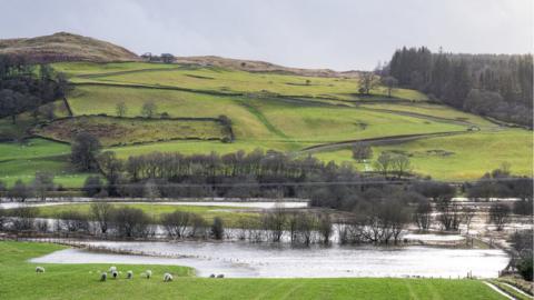 Flooded field