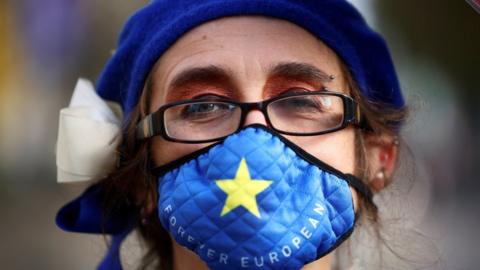 An anti-Brexit protester demonstrates near the conference centre where Brexit trade negotiations are taking place, in Westminster, London, Britain, November 13, 2020.
