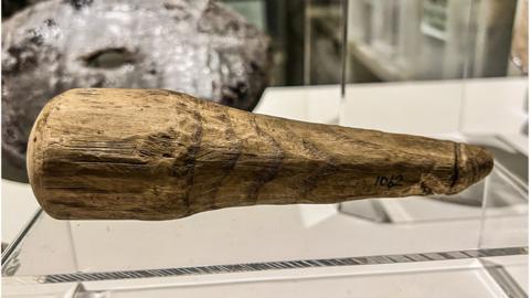 Wooden phallus dating from Roman times on display at Vindolanda