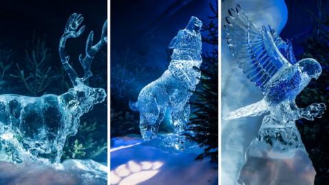 Ice sculptures