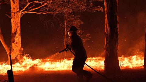 Bushfires