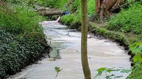 Sewage floating on river