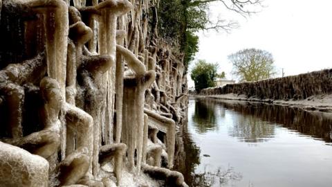 Roadside icicles in Ardleigh