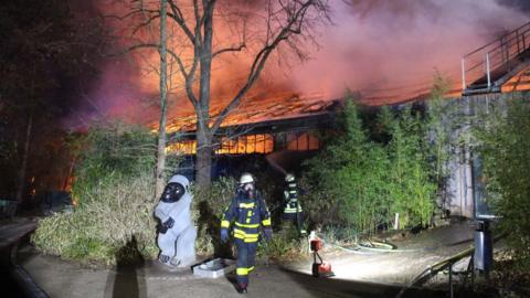 Flames ripping through the monkey house at Krefeld Zoo