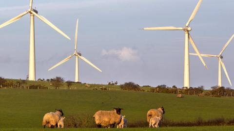 Wind turbines in Anglesey, Wales, UK