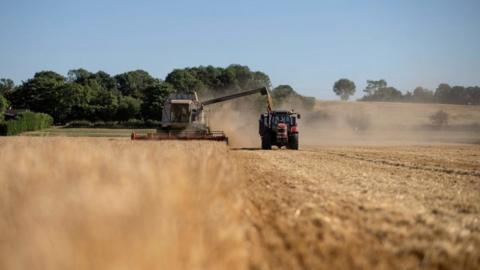 A combine harvest collects spring barley in a field near Washingborough, Lincolnshire