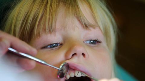 Child's dental inspection