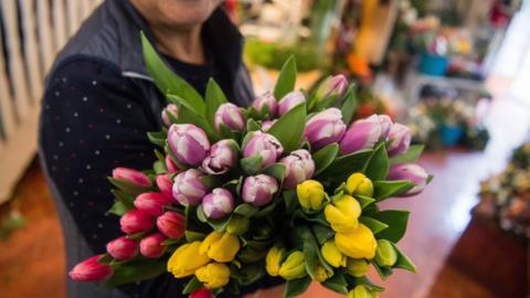 A florist holds tulips in her hands in a flower shop